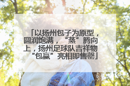 以扬州包子为原型，圆润饱满，“蒸”腾向上，扬州足球队吉祥物“包赢”亮相即售罄