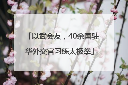 以武会友，40余国驻华外交官习练太极拳