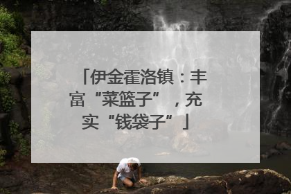 伊金霍洛镇：丰富“菜篮子”，充实“钱袋子”