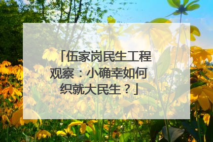 伍家岗民生工程观察：小确幸如何织就大民生？