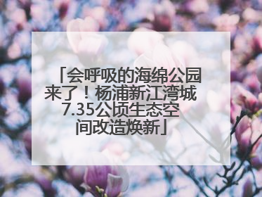 会呼吸的海绵公园来了！杨浦新江湾城7.35公顷生态空间改造焕新