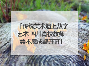 传统美术遇上数字艺术 四川高校教师美术展成都开幕