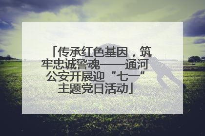 传承红色基因，筑牢忠诚警魂——通河公安开展迎“七一”主题党日活动