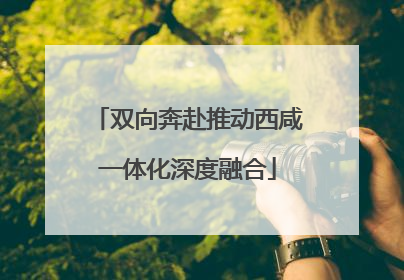 双向奔赴推动西咸一体化深度融合