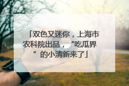 双色又迷你，上海市农科院出品，“吃瓜界”的小清新来了