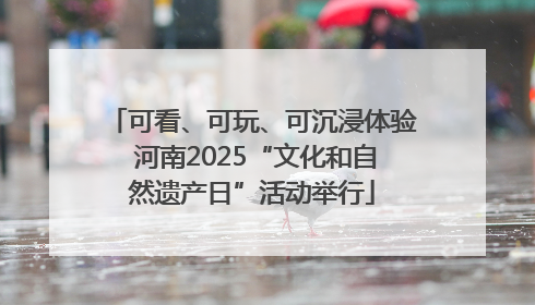 可看、可玩、可沉浸体验 河南2025“文化和自然遗产日”活动举行