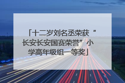 十二岁刘名丞荣获“长安长安国赛荣誉”小学高年级组一等奖