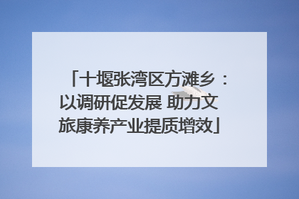 十堰张湾区方滩乡：以调研促发展 助力文旅康养产业提质增效