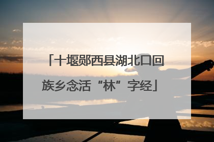十堰郧西县湖北口回族乡念活“林”字经