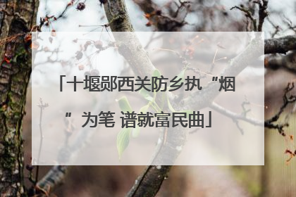 十堰郧西关防乡执“烟”为笔 谱就富民曲