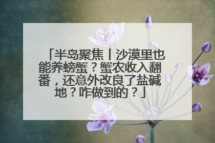 半岛聚焦丨沙漠里也能养螃蟹？蟹农收入翻番，还意外改良了盐碱地？咋做到的？