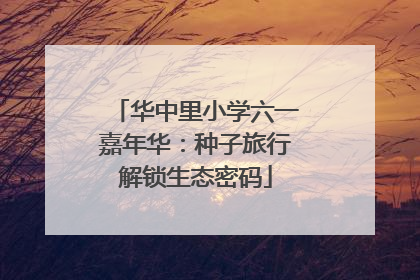 华中里小学六一嘉年华：种子旅行解锁生态密码