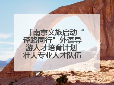 南京文旅启动“译路同行”外语导游人才培育计划 壮大专业人才队伍助力重要国际旅游目的地建设