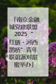 南京金融城党建联盟2025“红链・河西鹊桥”青年联谊派对甜蜜举办