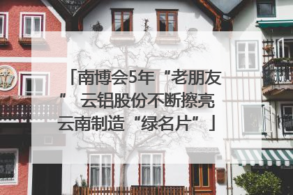 南博会5年“老朋友” 云铝股份不断擦亮云南制造“绿名片”