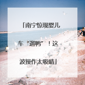南宁惊现婴儿车“遛鸭”！这波操作太吸睛