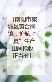南阳市宛城区黄台岗镇：护航“三夏”生产 田间抢收正当时