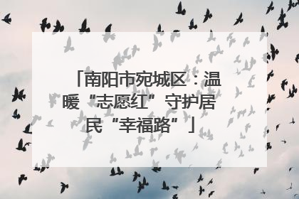 南阳市宛城区：温暖“志愿红”守护居民“幸福路”
