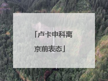 卢卡申科离京前表态