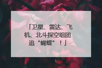 卫星、雷达、飞机、北斗探空组团追“蝴蝶”！