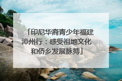 印尼华裔青少年福建漳州行：感受祖地文化和侨乡发展脉搏