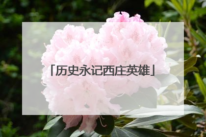 历史永记西庄英雄
