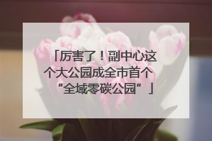 厉害了！副中心这个大公园成全市首个“全域零碳公园”