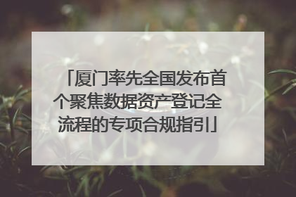 厦门率先全国发布首个聚焦数据资产登记全流程的专项合规指引