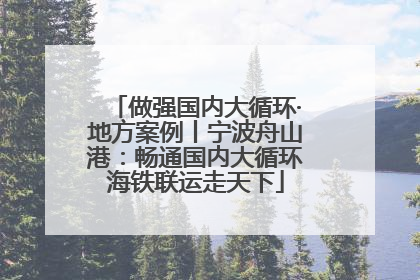 做强国内大循环·地方案例丨宁波舟山港：畅通国内大循环海铁联运走天下