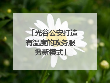 光谷公安打造有温度的政务服务新模式