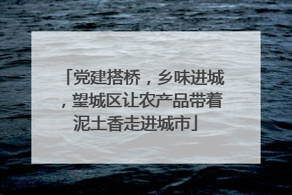 党建搭桥，乡味进城，望城区让农产品带着泥土香走进城市