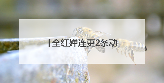 全红婵连更2条动态为陈艺文庆生，晒出最新收获的玩偶