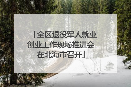 全区退役军人就业创业工作现场推进会在北海市召开