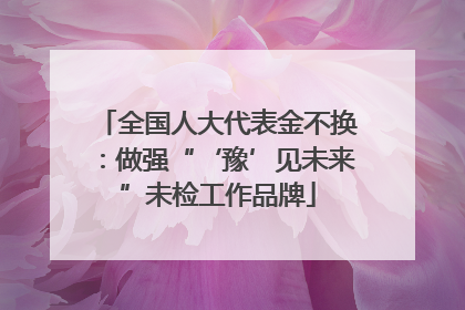 全国人大代表金不换：做强“‘豫’见未来”未检工作品牌
