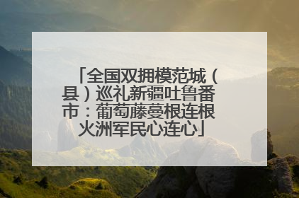 全国双拥模范城（县）巡礼新疆吐鲁番市：葡萄藤蔓根连根 火洲军民心连心