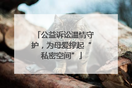 公益诉讼温情守护，为母爱撑起“私密空间”