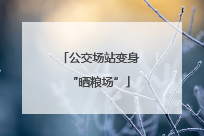 公交场站变身“晒粮场”