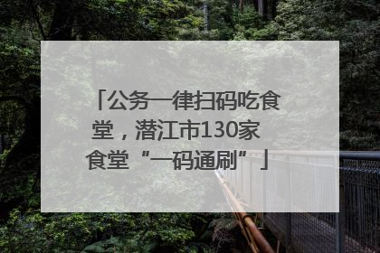 公务一律扫码吃食堂，潜江市130家食堂“一码通刷”