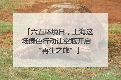 六五环境日，上海这场绿色行动让空瓶开启 “再生之旅”