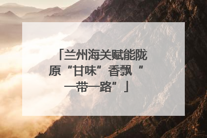 兰州海关赋能陇原“甘味”香飘“一带一路”