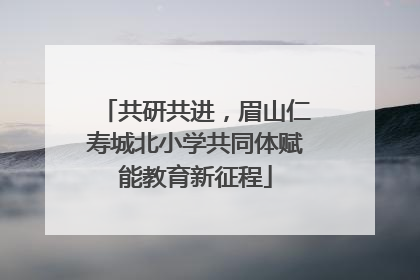 共研共进，眉山仁寿城北小学共同体赋能教育新征程
