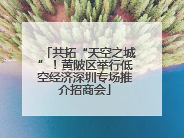 共拓“天空之城”！黄陂区举行低空经济深圳专场推介招商会