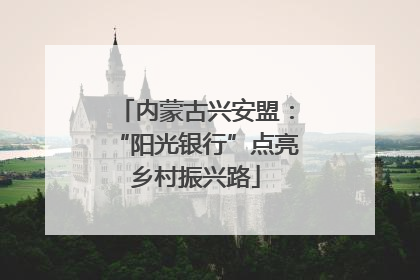 内蒙古兴安盟：“阳光银行”点亮乡村振兴路