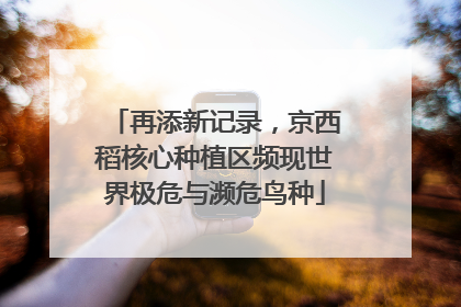 再添新记录，京西稻核心种植区频现世界极危与濒危鸟种