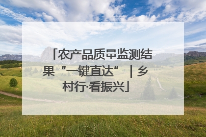 农产品质量监测结果“一键直达”｜乡村行·看振兴