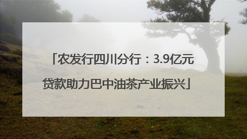 农发行四川分行：3.9亿元贷款助力巴中油茶产业振兴