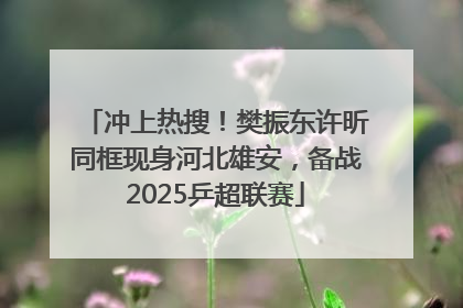 冲上热搜！樊振东许昕同框现身河北雄安，备战2025乒超联赛