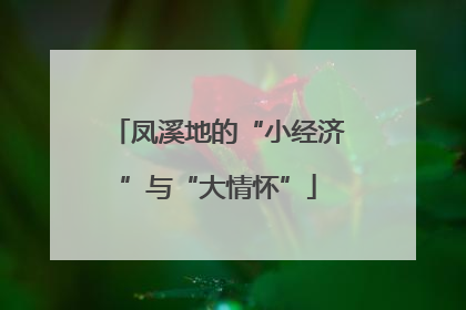 凤溪地的“小经济”与“大情怀”
