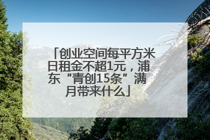 创业空间每平方米日租金不超1元，浦东“青创15条”满月带来什么