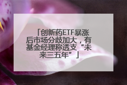 创新药ETF暴涨后市场分歧加大，有基金经理称透支“未来三五年”